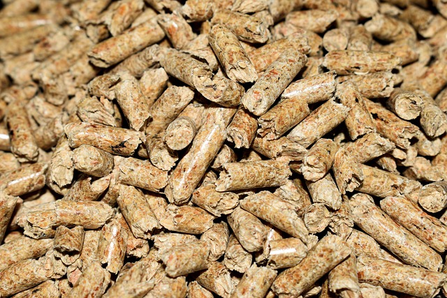 pellet pellet