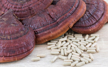 Reishi – grzyb, który leczy Reishi
