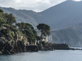 Ile kosztuje najdroższa G klasa? Ile kosztuje najdroższa G klasa?