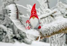 Czy mrożone warzywa można gotować na parze? Czy mrożone warzywa można gotować na parze?