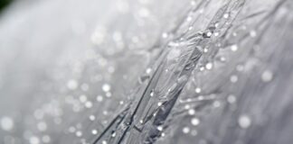 Czy teflon to PFAS? Czy teflon to PFAS?